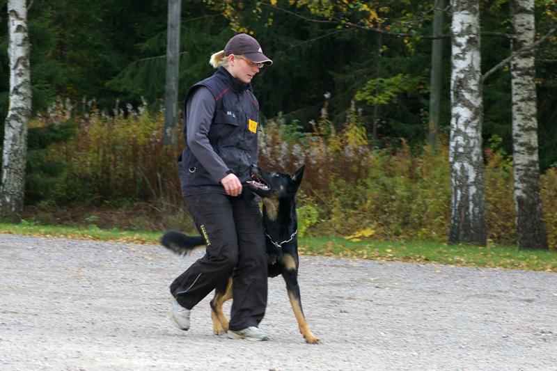 PK kurssi (28).jpg